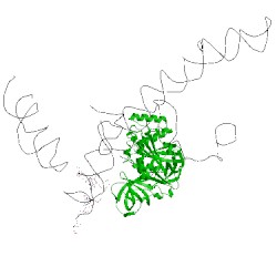 Image of CATH 4cxg