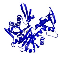 Image of CATH 4czl