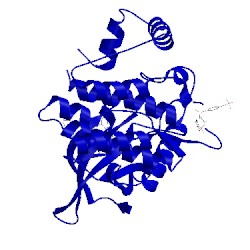 Image of CATH 4d1s