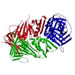 Image of CATH 4d2g
