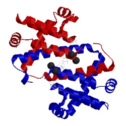 Image of CATH 4d2m