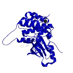 Image of CATH 4d2r