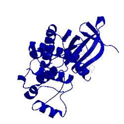 Image of CATH 4d2s