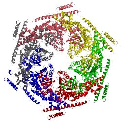 Image of CATH 4d2x