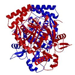 Image of CATH 4d30