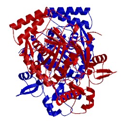 Image of CATH 4d31