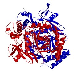 Image of CATH 4d37