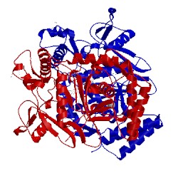 Image of CATH 4d39