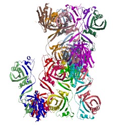 Image of CATH 4d60