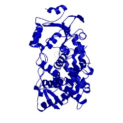 Image of CATH 4d75