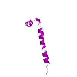 Image of CATH 4d8jK02