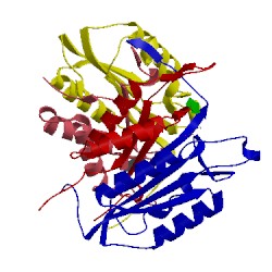 Image of CATH 4dcj