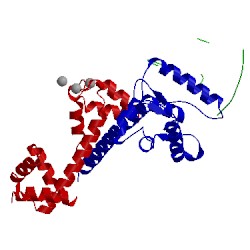 Image of CATH 4dck