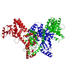 Image of CATH 4ddi