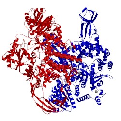 Image of CATH 4ddx