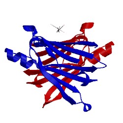 Image of CATH 4det