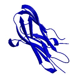 Image of CATH 4dfi