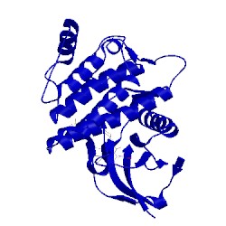 Image of CATH 4dfl