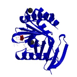 Image of CATH 4dfw