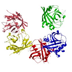 Image of CATH 4dgc