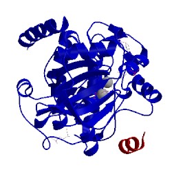 Image of CATH 4dh5