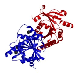 Image of CATH 4dhe