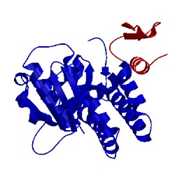 Image of CATH 4dhi