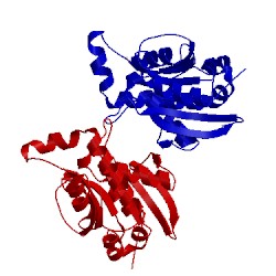 Image of CATH 4dhw
