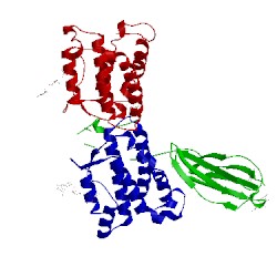 Image of CATH 4dkd