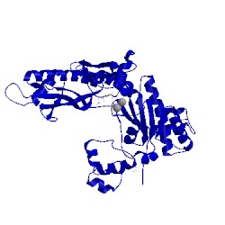 Image of CATH 4dl4