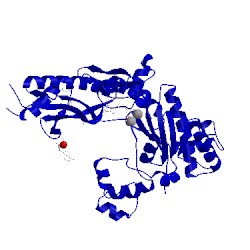 Image of CATH 4dl6