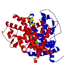 Image of CATH 4dm6