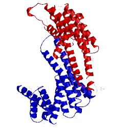 Image of CATH 4dnk