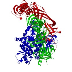 Image of CATH 4dnr