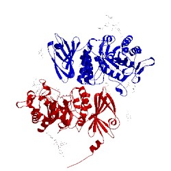 Image of CATH 4do5