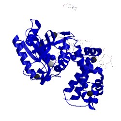 Image of CATH 4doc