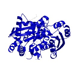 Image of CATH 4dqd