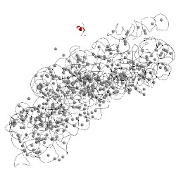 Image of CATH 4dr6