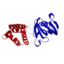 Image of CATH 4drj