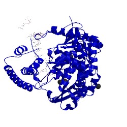 Image of CATH 4dsk