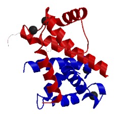 Image of CATH 4duq