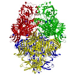 Image of CATH 4duv