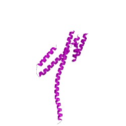 Image of CATH 4dvyP03