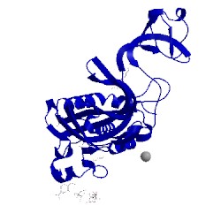 Image of CATH 4dw0
