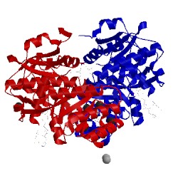Image of CATH 4dwd