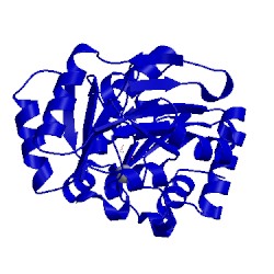 Image of CATH 4dwo