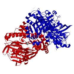 Image of CATH 4dwq