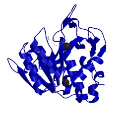 Image of CATH 4dww