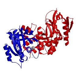 Image of CATH 4dxa