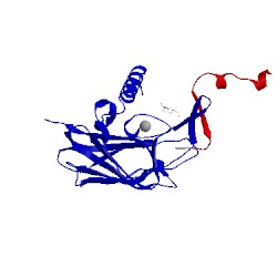 Image of CATH 4dxr